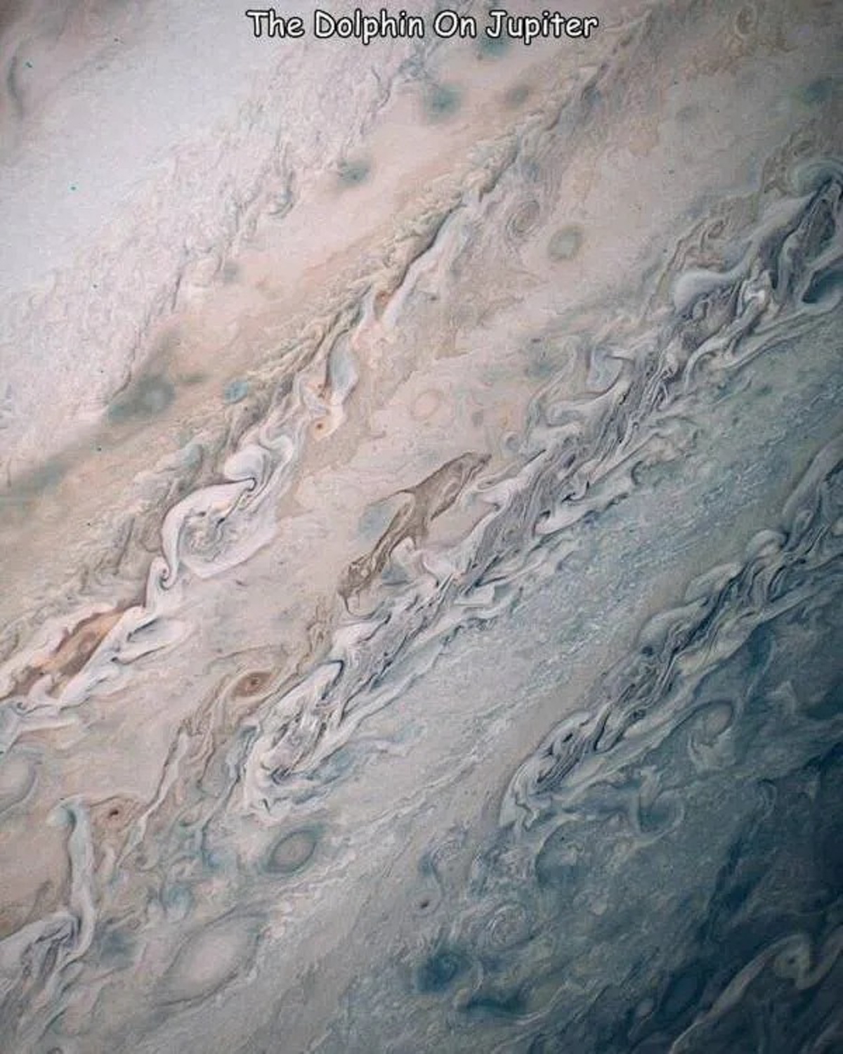 Jupiter - The Dolphin On Jupiter