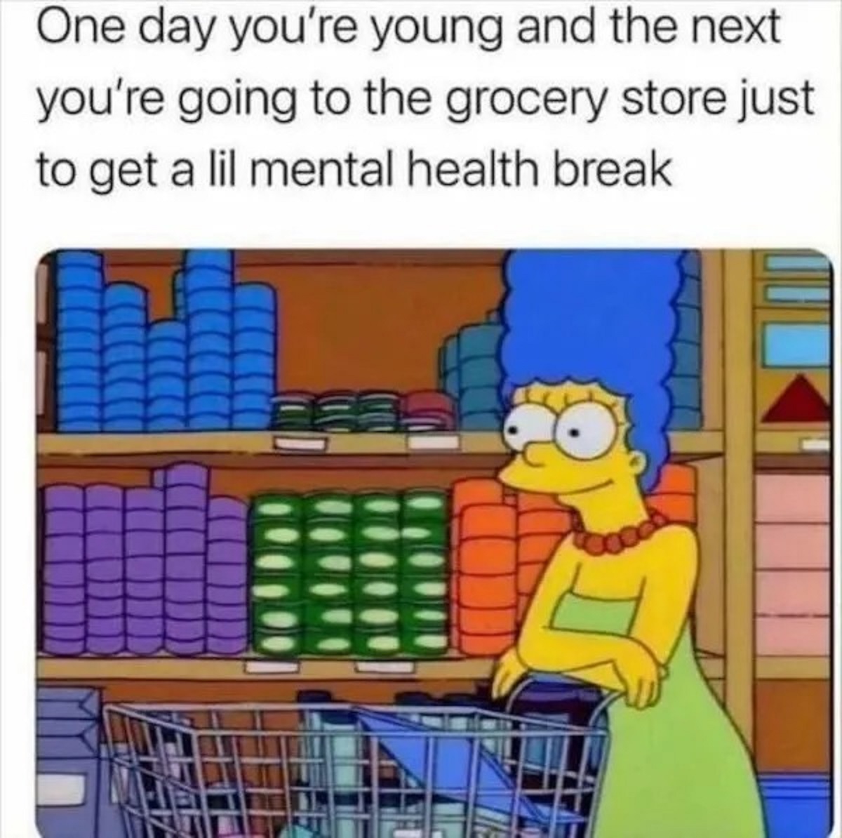 cartoon - One day you're young and the next you're going to the grocery store just to get a lil mental health break