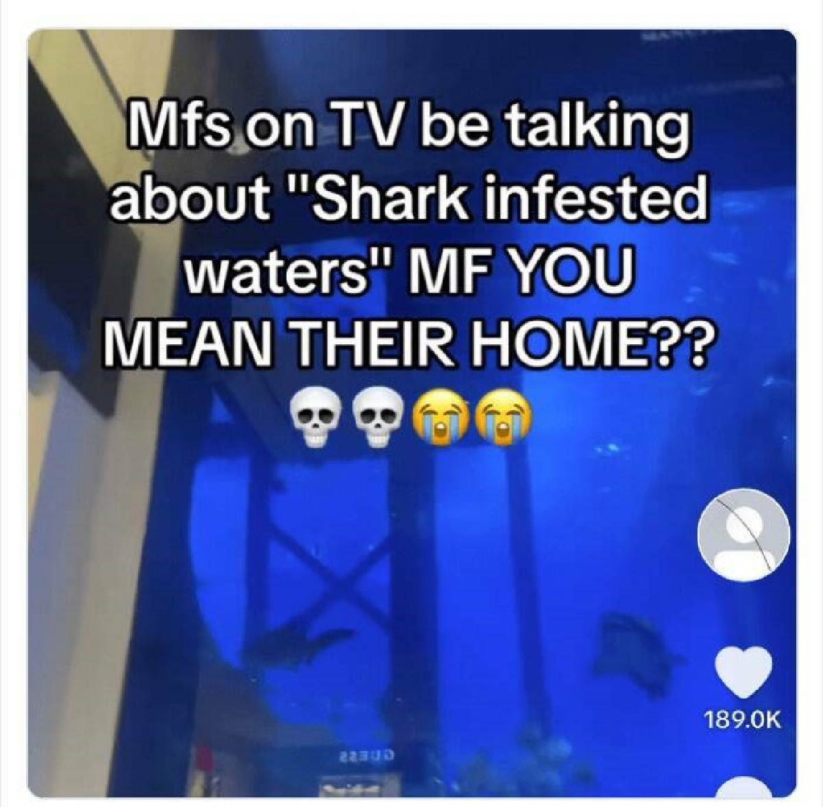 screenshot - Mfs on Tv be talking about "Shark infested waters" Mf You Mean Their Home?? 22UD
