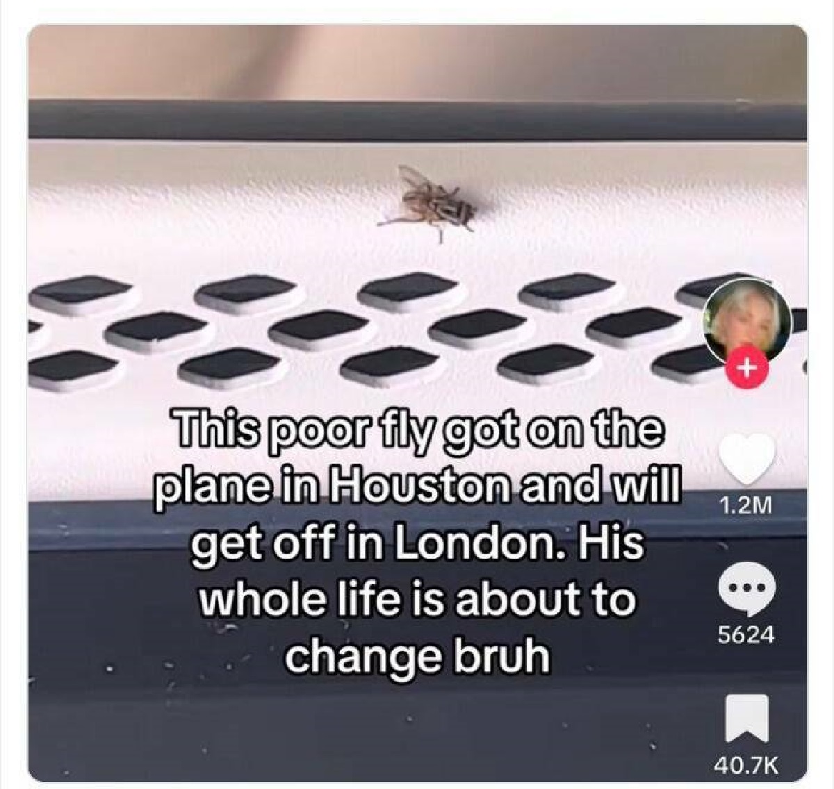 Meme - This poor fly got on the plane in Houston and will get off in London. His whole life is about to change bruh 1.2M 5624