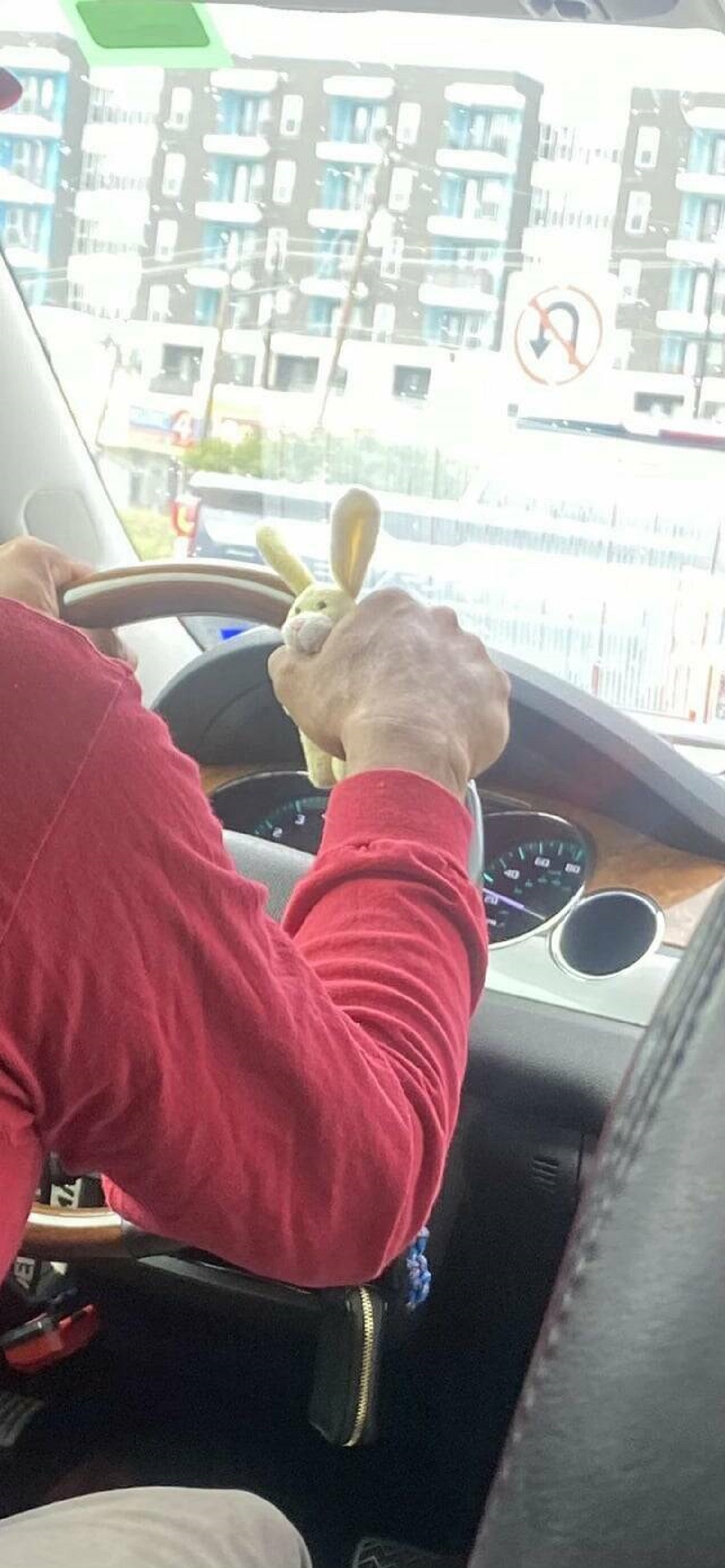 "My Lyft driver holds a stuffed bunny while driving."