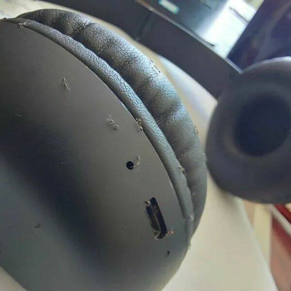 ants in headphones