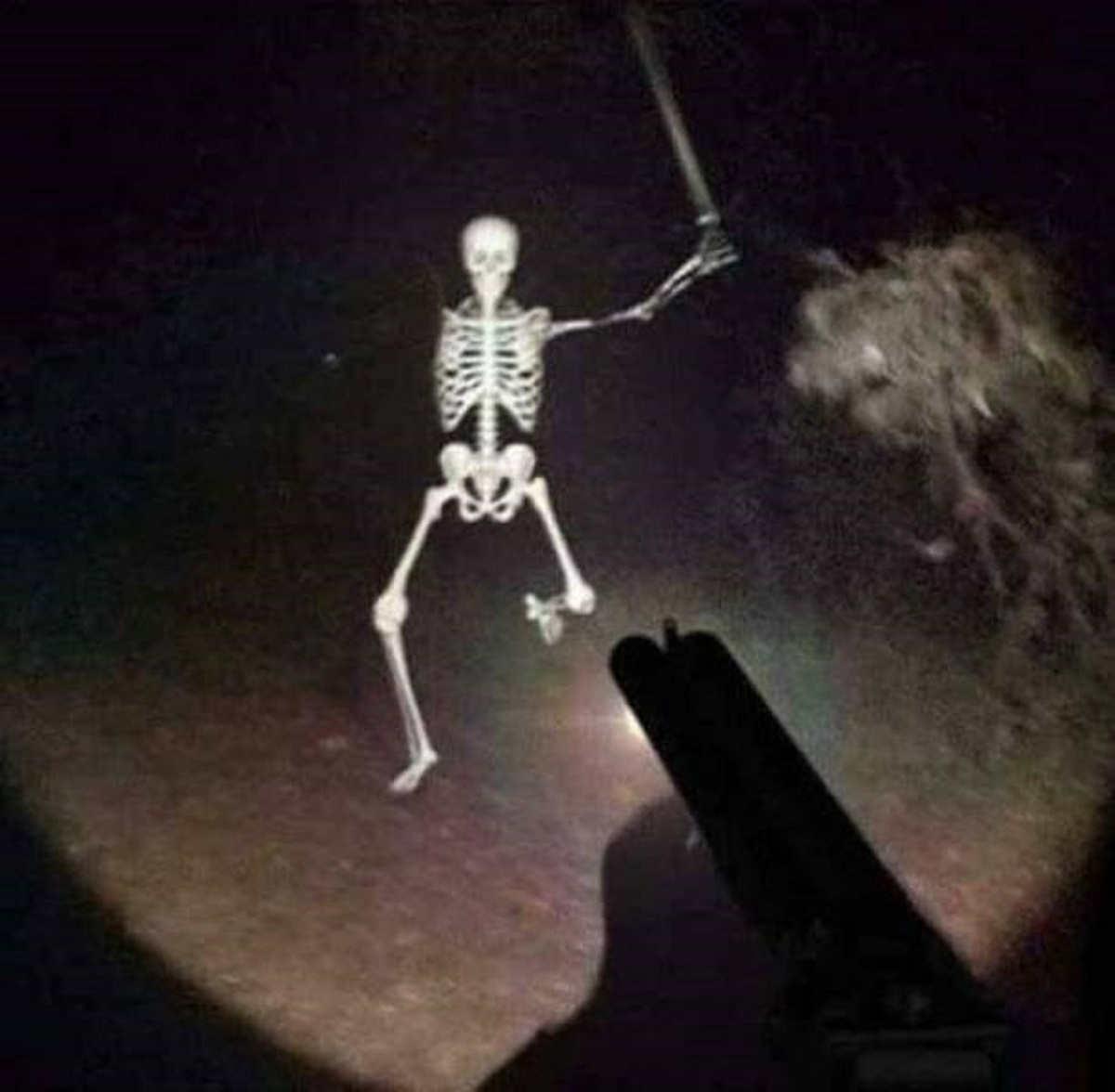 skeleton running with sword meme