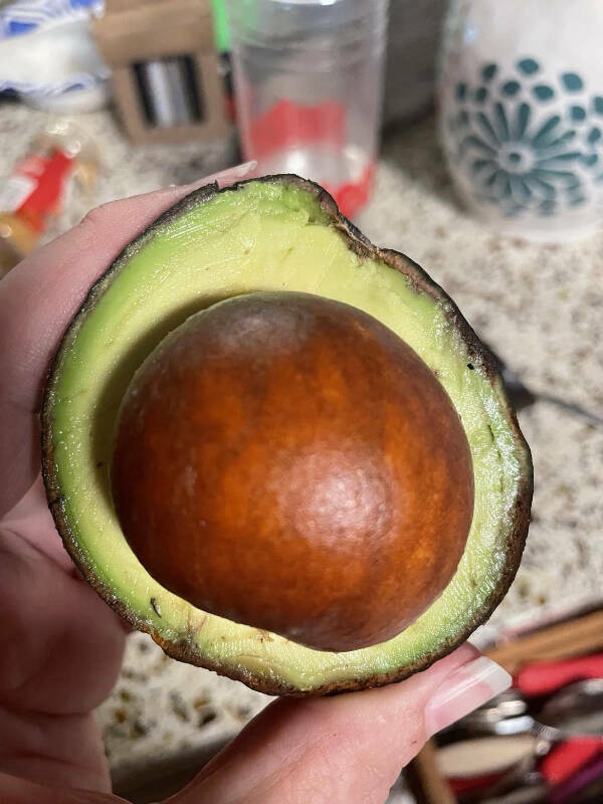 “My mom just opened her newly ripened avocado ..seed?”