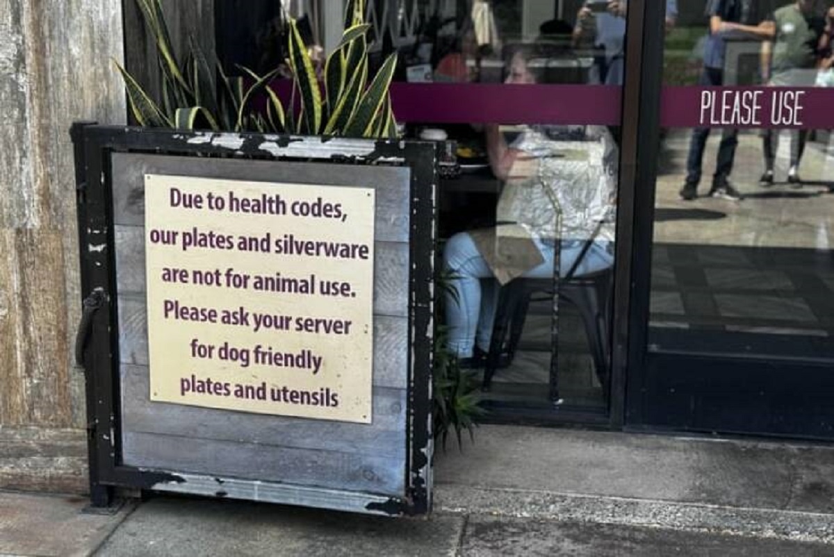 "Restaurant needs to tell diners not to share silverware with their dogs"