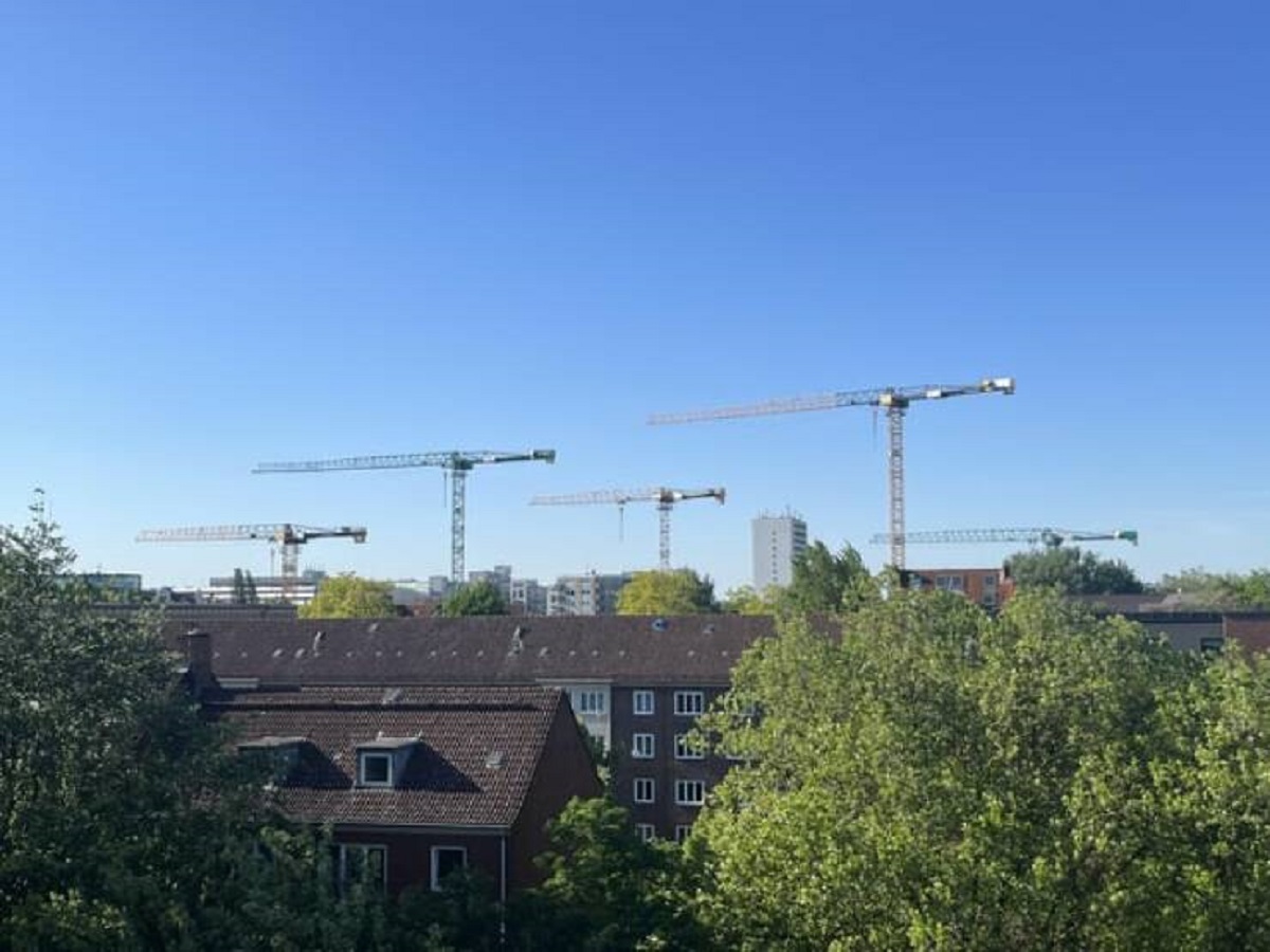 "Cranes in my hometown all facing the same direction because of heavy winds"