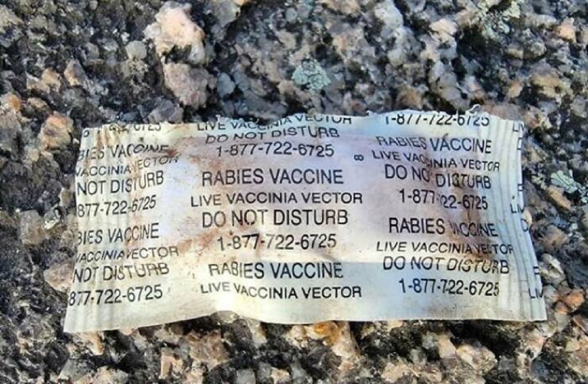 igneous rock - Bles Vaccine Vaccinianector Not Disturb 8777226725 Bies Vaccine Vaccinia Vector Not Disturb 8777226725 Live Vaccinia Vector Do Not Disturb 18777226725 Rabies Vaccine co Live Vaccinia Vector Do Not Disturb 18777226725 Rabies Vaccine Live Vac