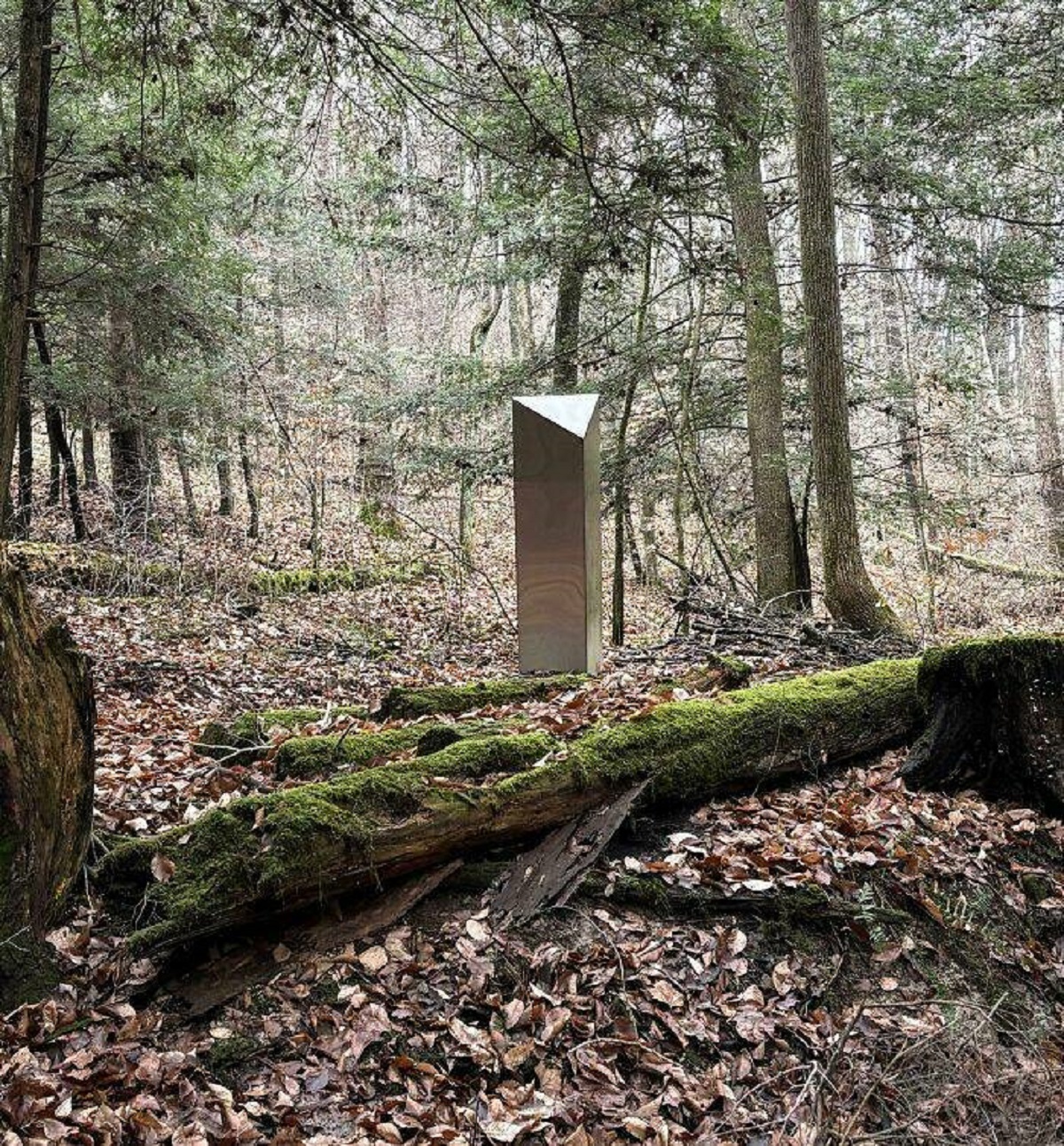 obelisk in a forest