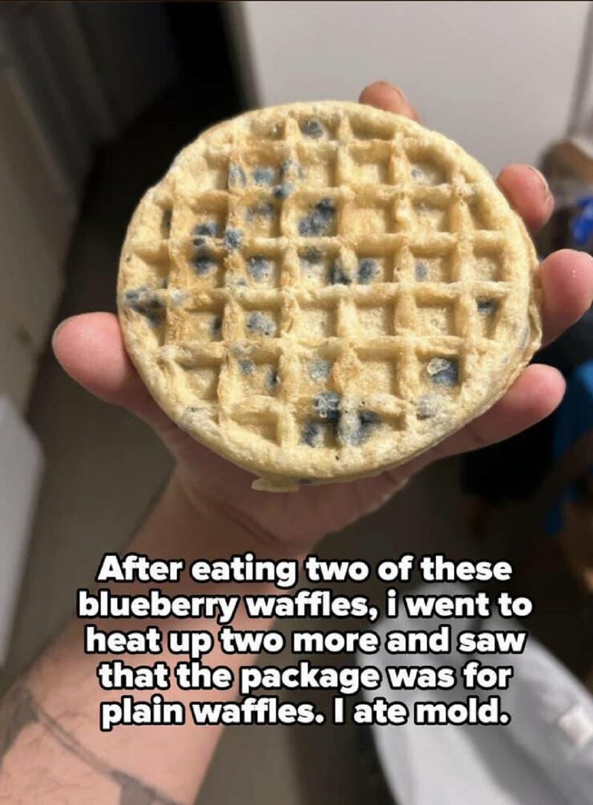 moldy blueberry waffles - After eating two of these blueberry waffles, i went to heat up two more and saw that the package was for plain waffles. I ate mold.