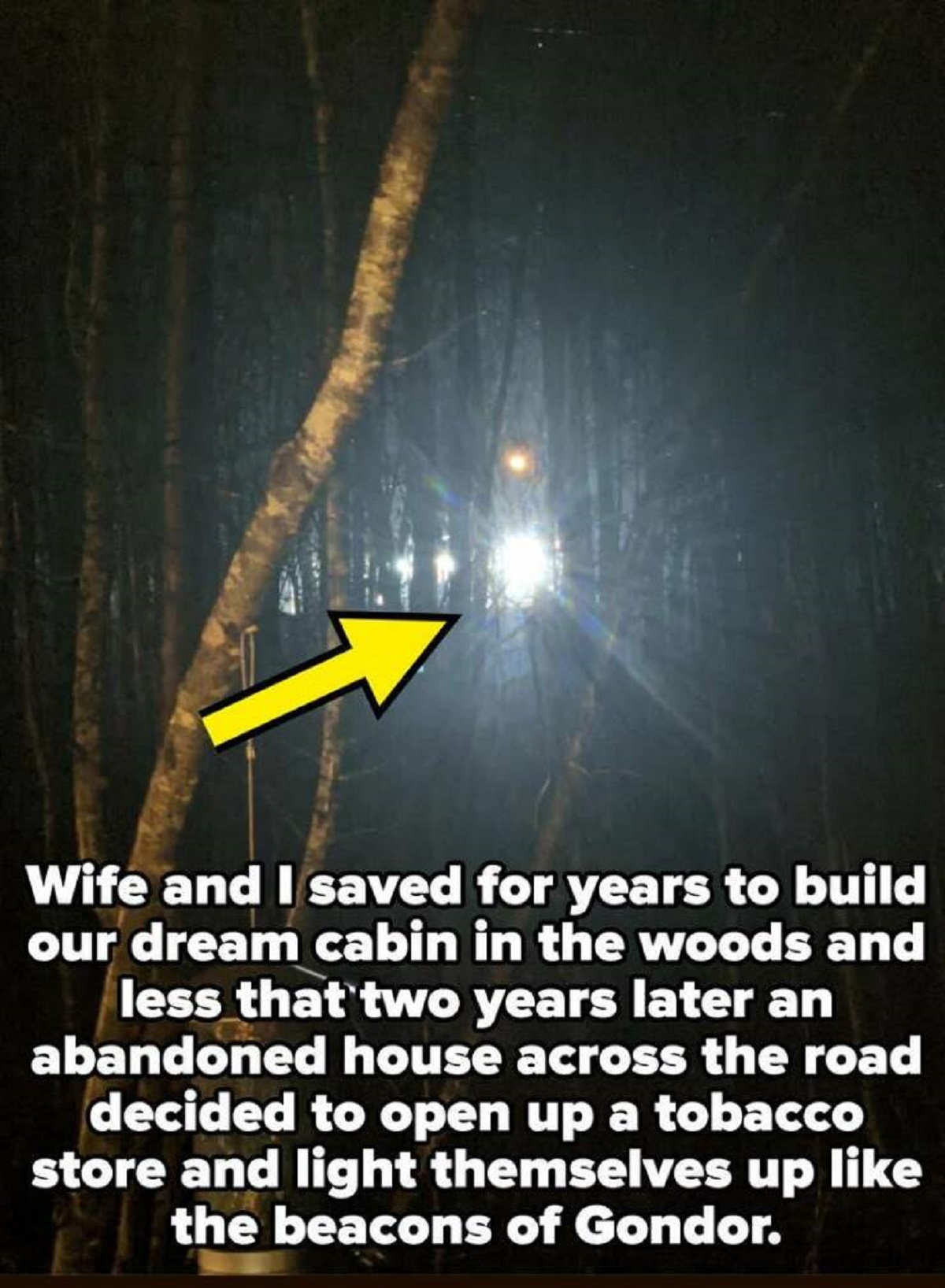 tree - Wife and I saved for years to build our dream cabin in the woods and less that two years later an abandoned house across the road decided to open up a tobacco store and light themselves up the beacons of Gondor.