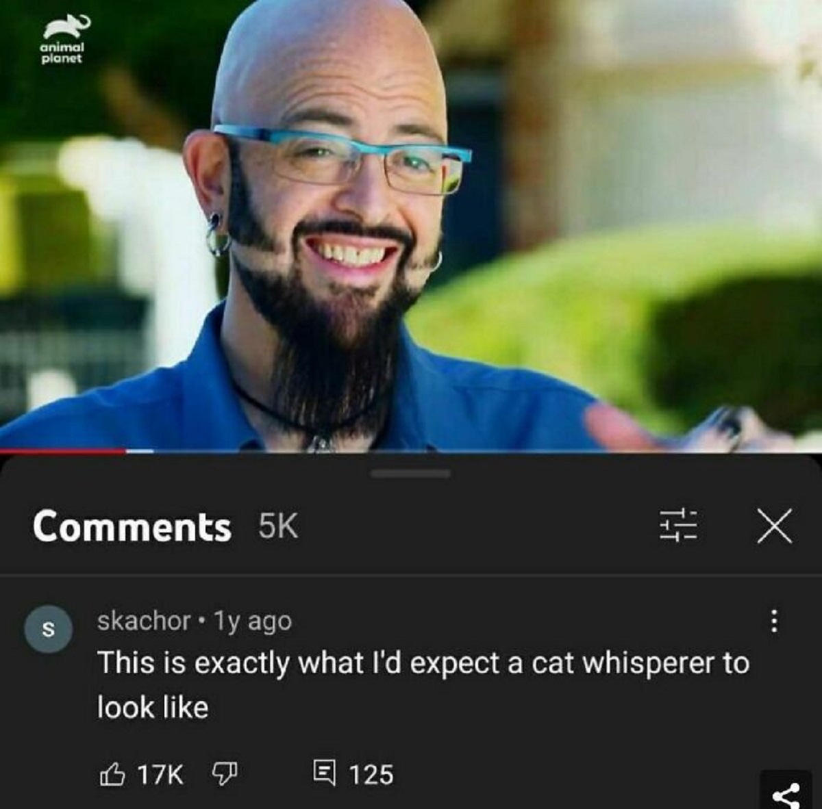 funny youtube comments - animal planet 5K S skachor 1y ago X This is exactly what I'd expect a cat whisperer to look 17K 125