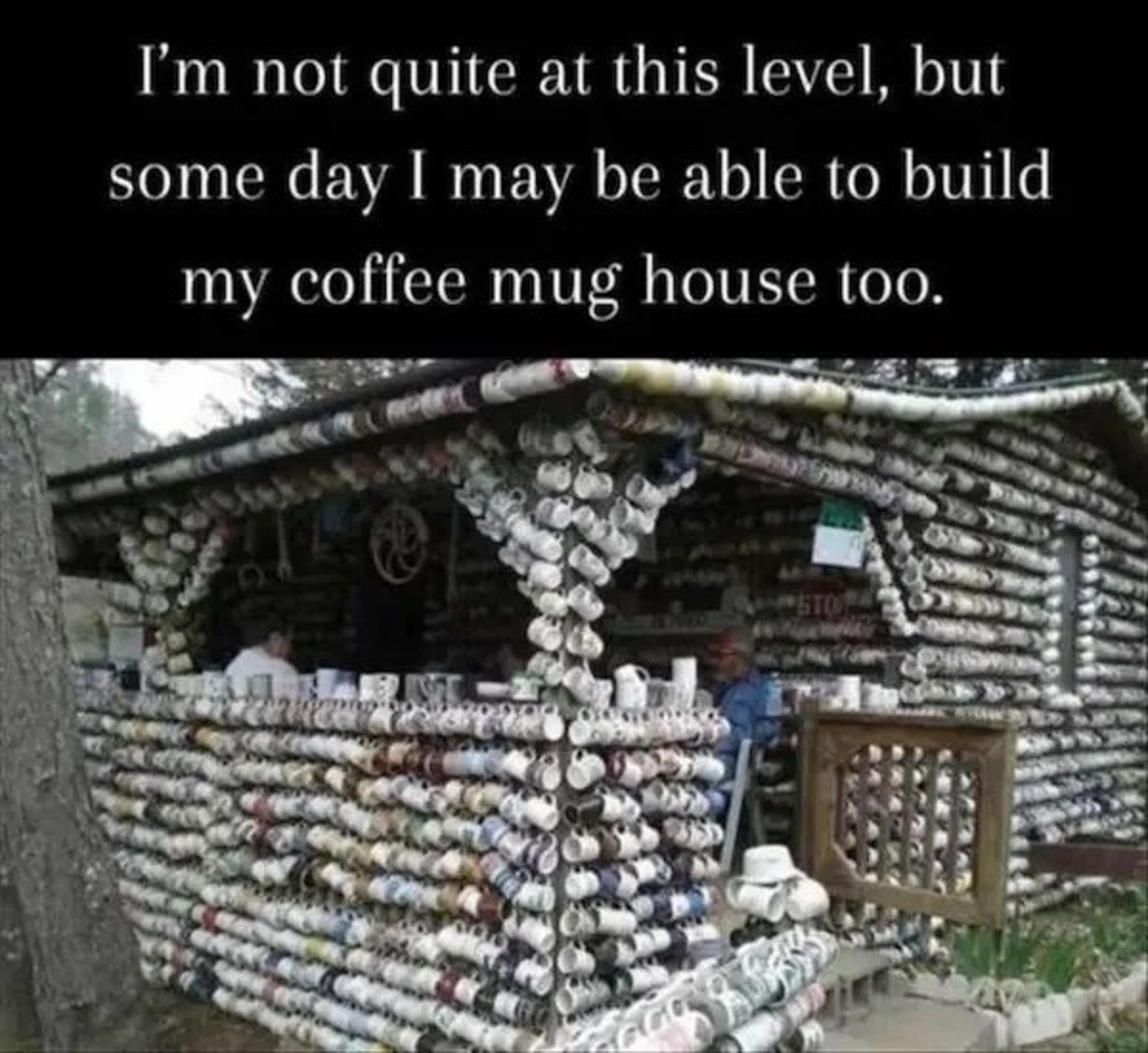 house of mugs - I'm not quite at this level, but some day I may be able to build my coffee mug house too.