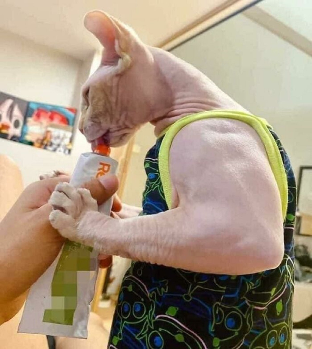 This Cat’s Arm Size