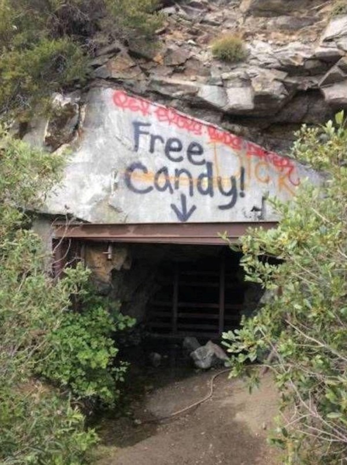 Graffiti - Free Candy!