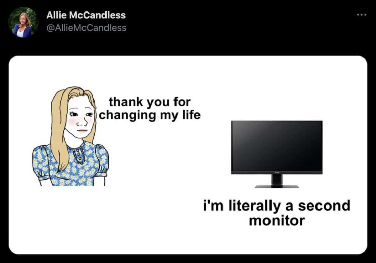 Allie McCandless thank you for changing my life i'm literally a second monitor
