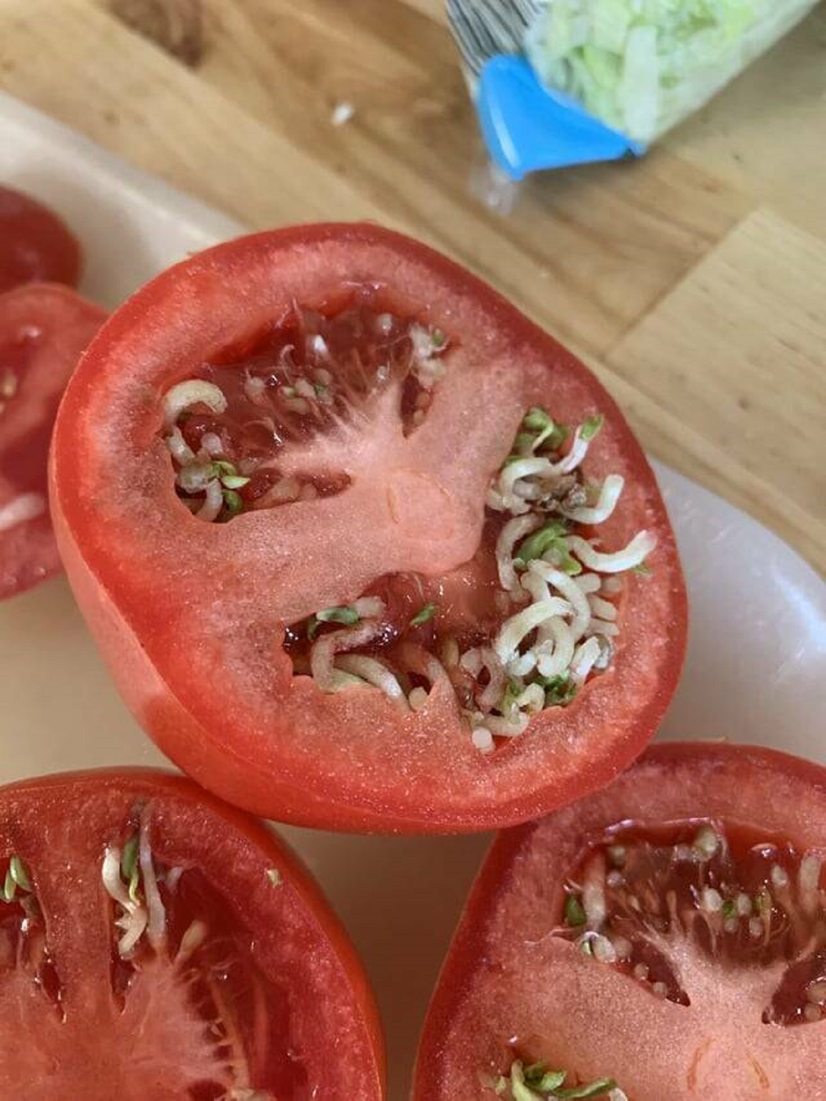 "My tomatoes sprouted internally, and could only tell when I cut them open."