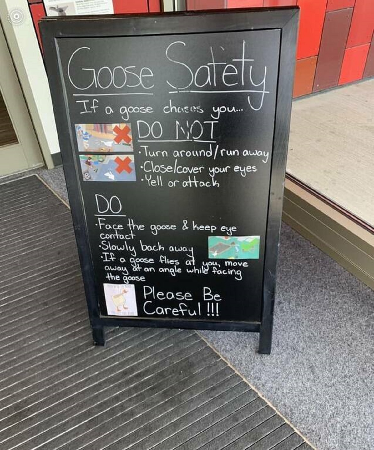 "Goose Safety sign posted at my local library"