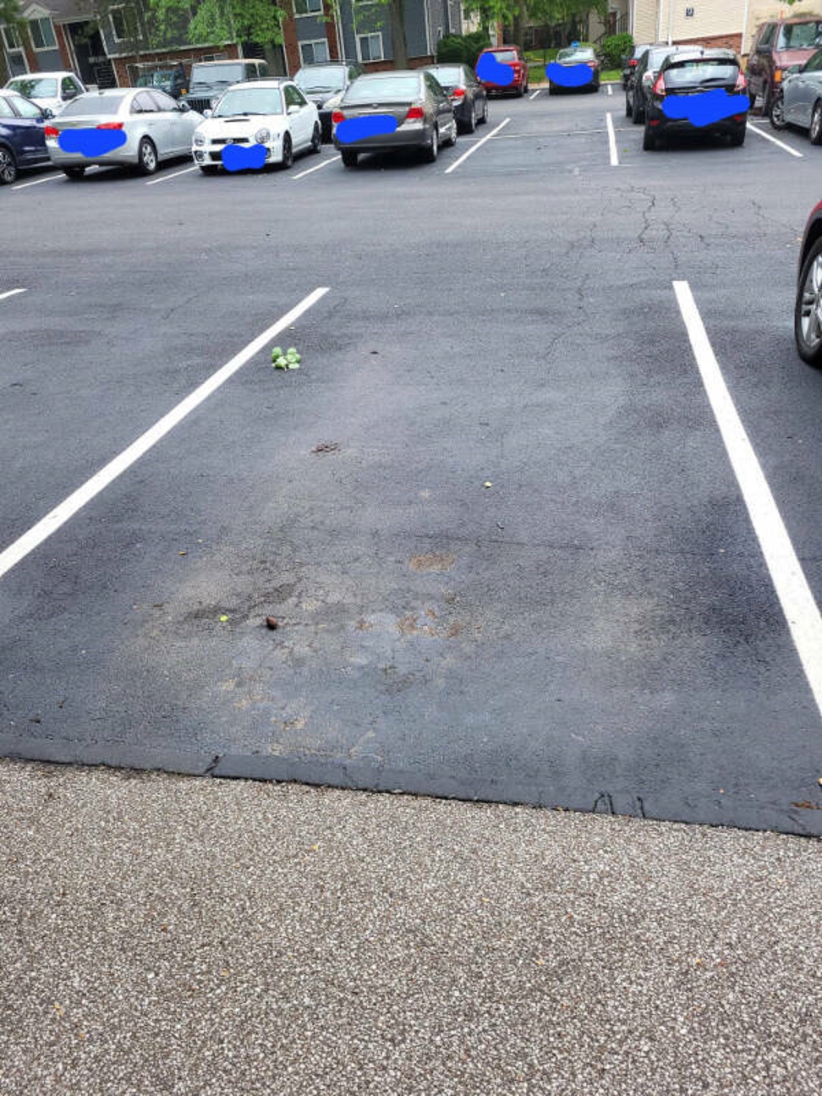 “The last spot I parked my Hyundai in before it disappeared overnight”