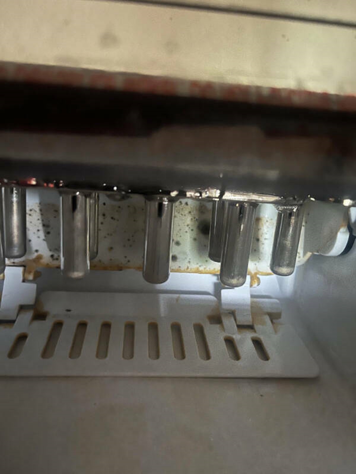 “Just noticed that there’s mold growing in my ice maker. I got it a few months ago.”