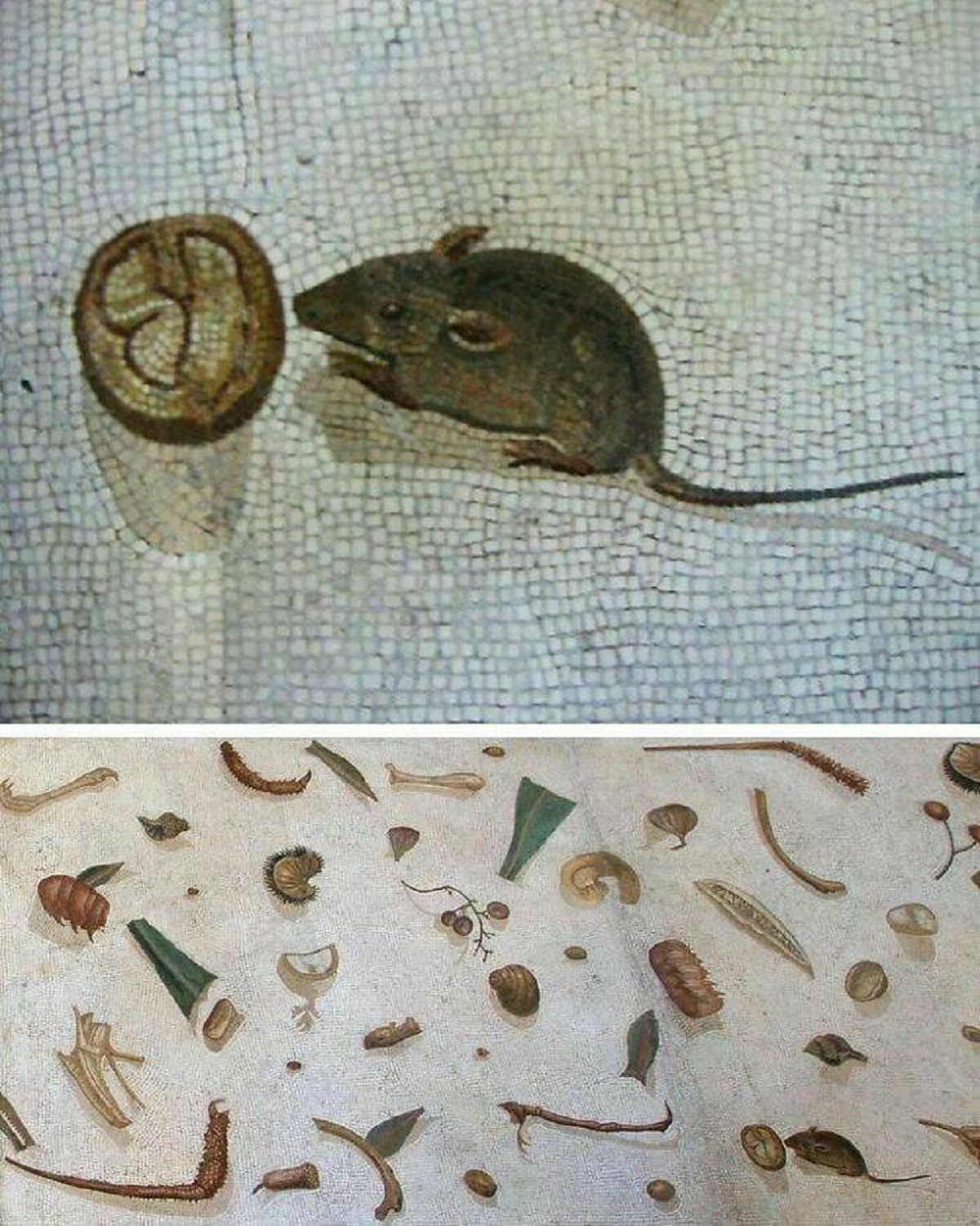 "Detail From The “Unswept Floor” Mosaic Made By Heraclitus, Showing A Mouse Eating A Walnut. 2nd Century Ce, Now On Display At The Vatican Museums"