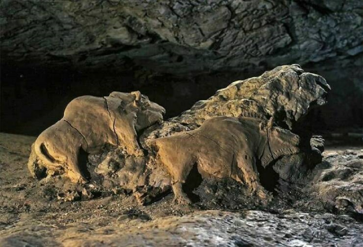 "14000 Years Old Bisons Sculptures Found In Le Tuc D'audoubert Cave. Ariege, France"