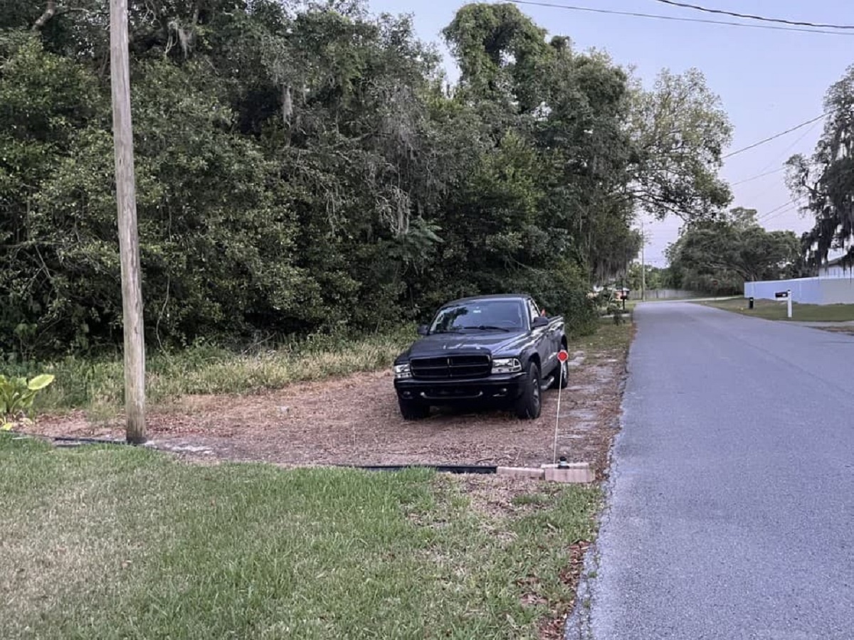 My neighbor sprayed herbicide on my back lot to make himself a parking spot.