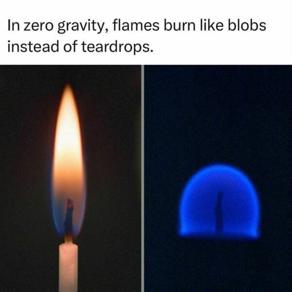 round blue candle flame - In zero gravity, flames burn blobs instead of teardrops.