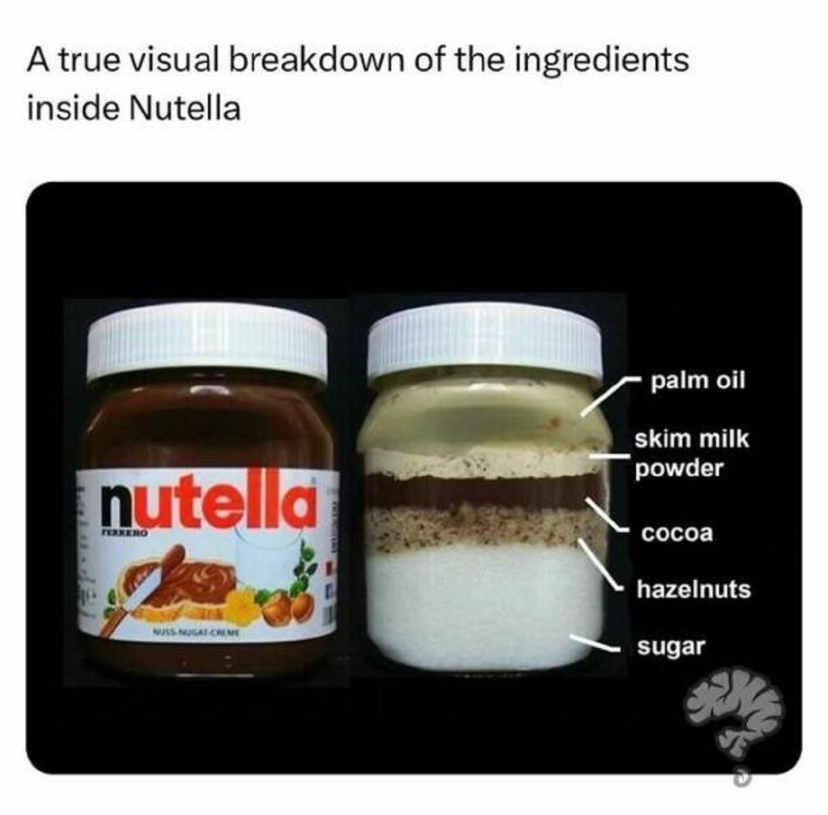 nutella deconstructed - A true visual breakdown of the ingredients inside Nutella nutella Ferrero palm oil skim milk powder Nuss NugatCreme cocoa hazelnuts sugar