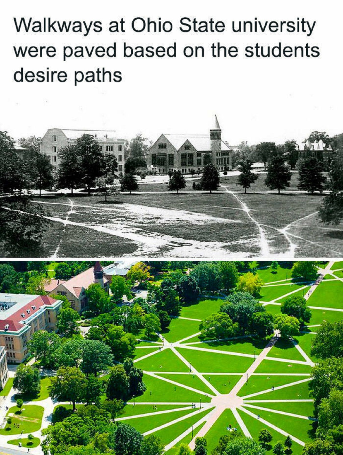 desire paths - Walkways at Ohio State university were paved based on the students desire paths