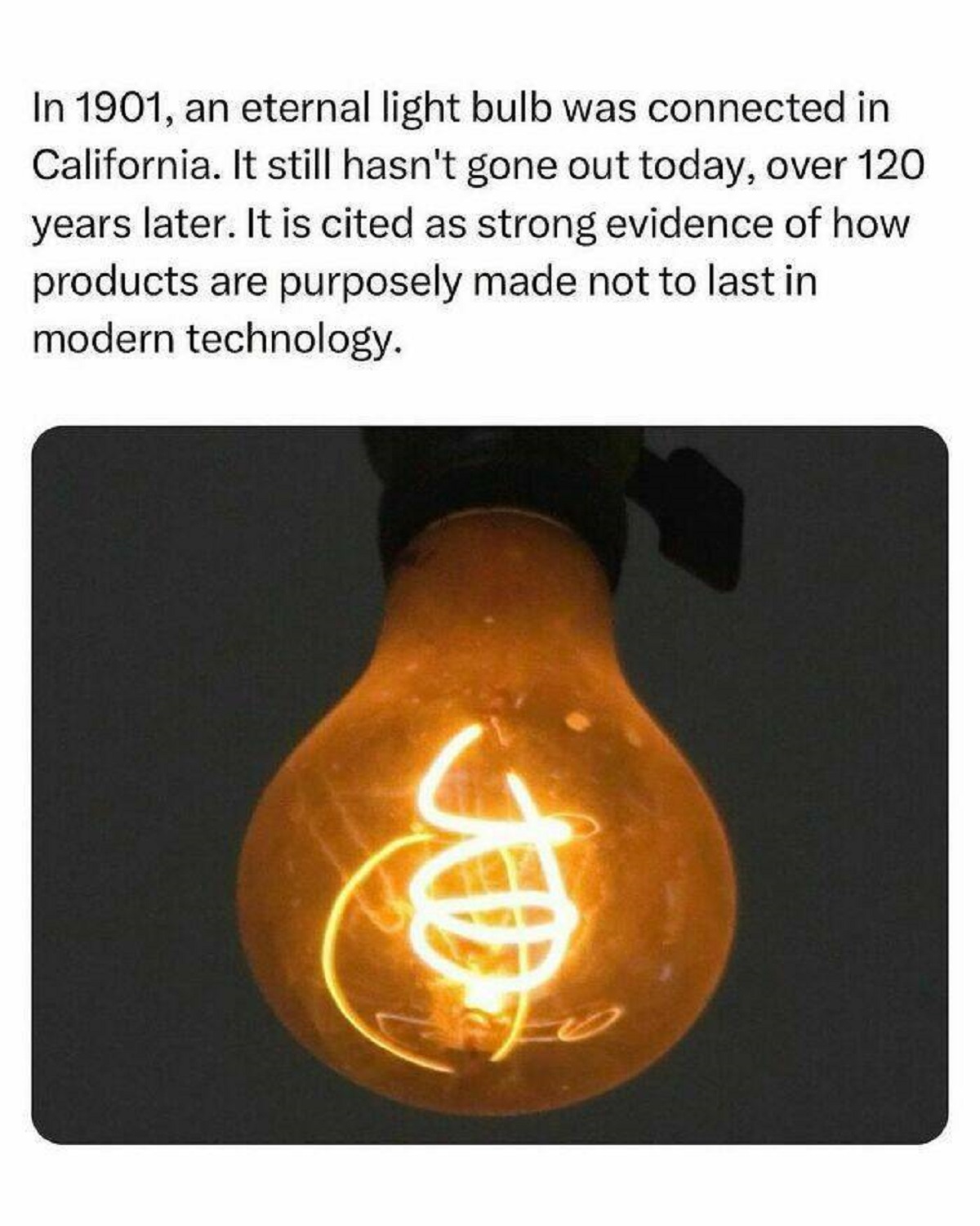 centennial light bulb - In 1901, an eternal light bulb was connected in California. It still hasn't gone out today, over 120 years later. It is cited as strong evidence of how products are purposely made not to last in modern technology.