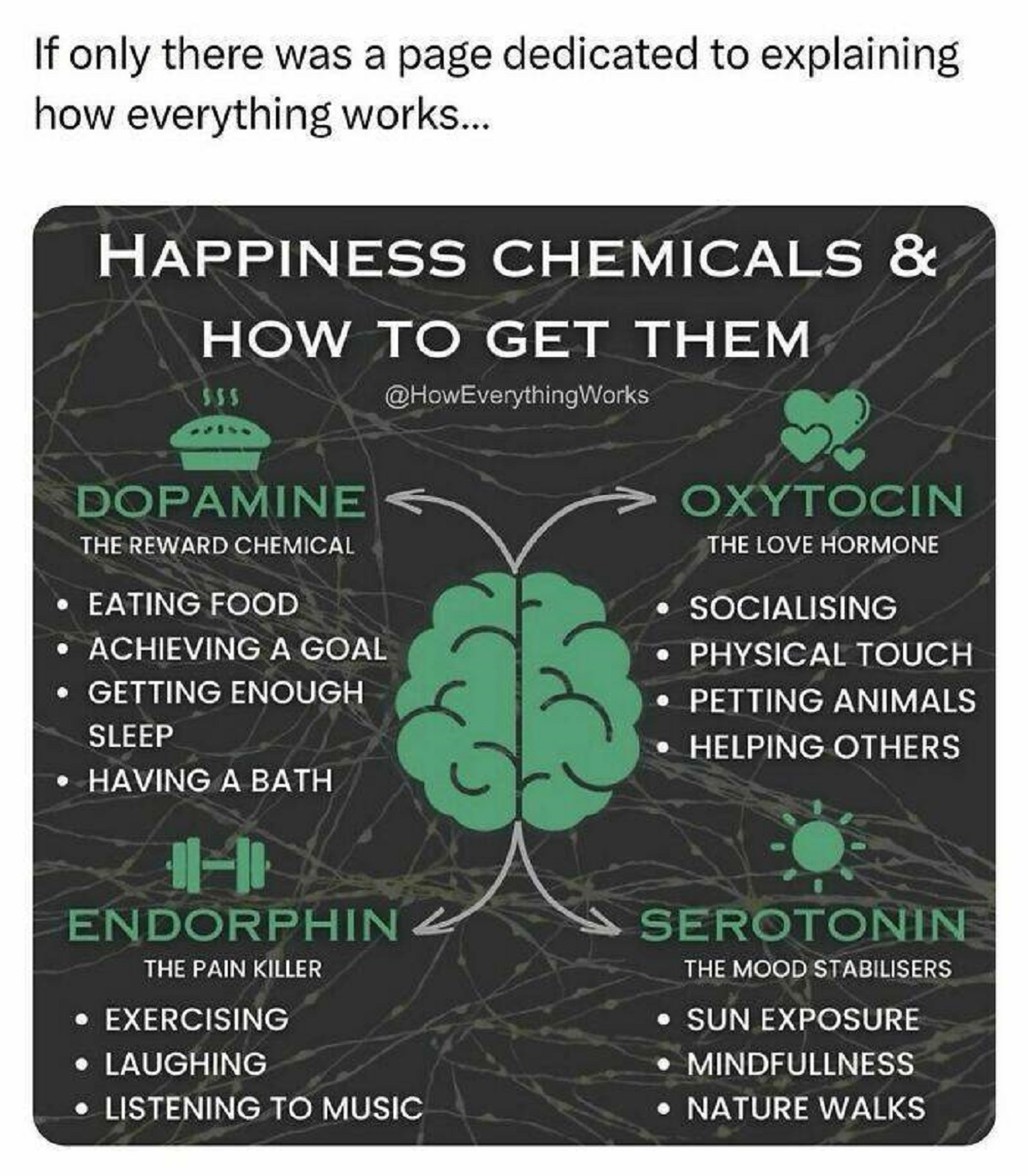 happiness chemicals and how to get them - If only there was a page dedicated to explaining how everything works... Happiness Chemicals & How To Get Them Works Dopamine The Reward Chemical Eating Food O Achieving A Goal Getting Enough Sleep Having A Bath O