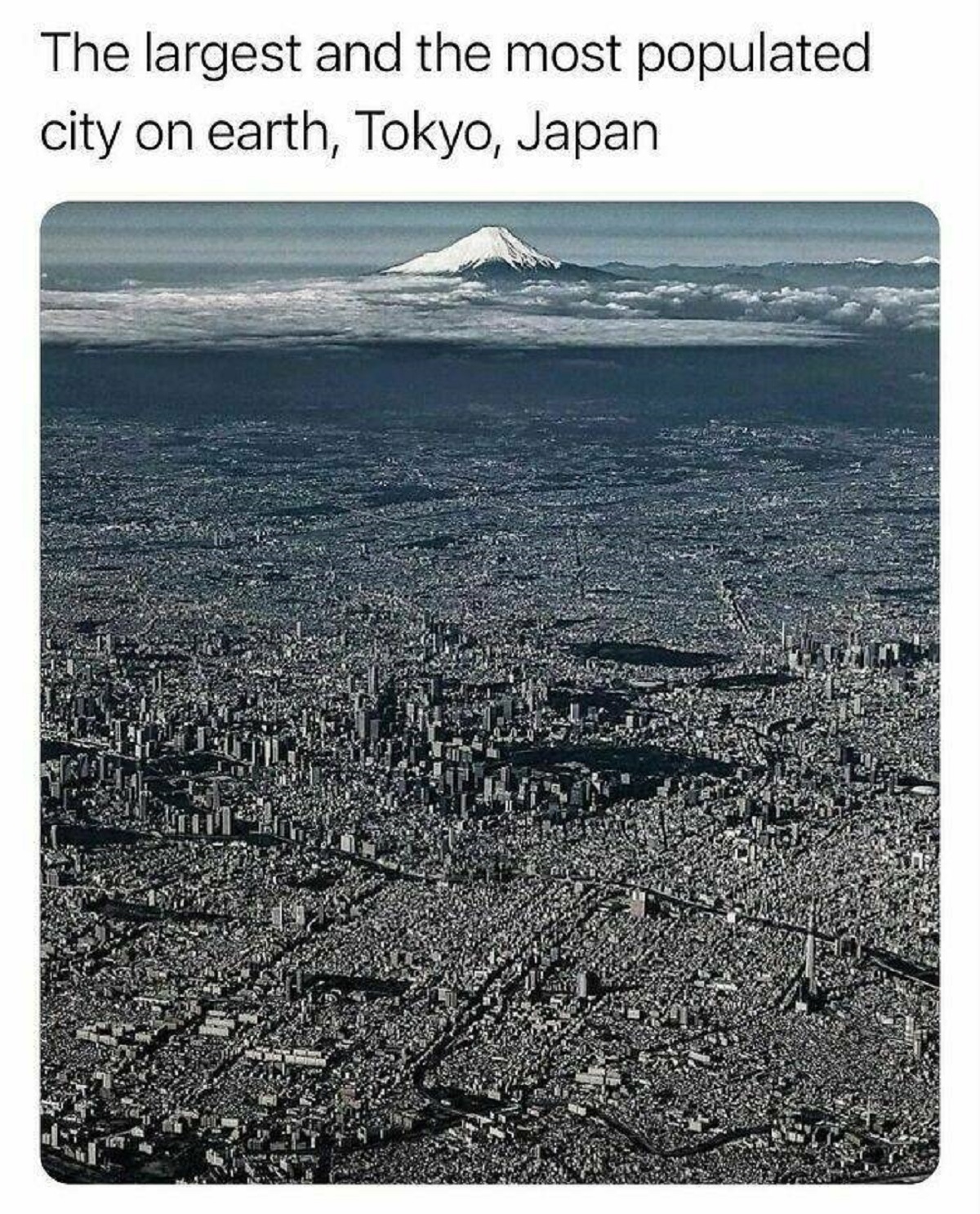 there are cities and then there is tokyo - The largest and the most populated city on earth, Tokyo, Japan