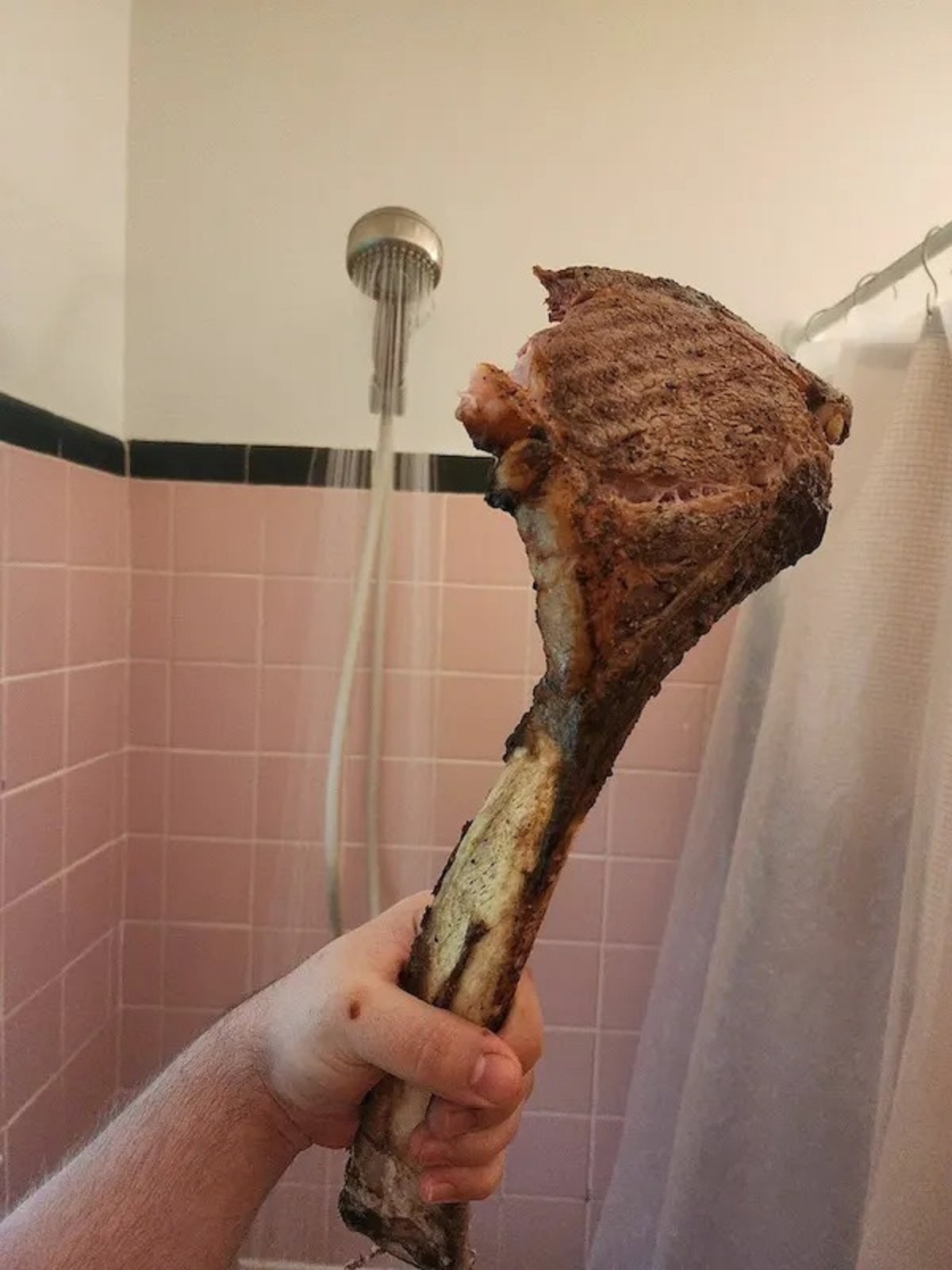 shower food review guy