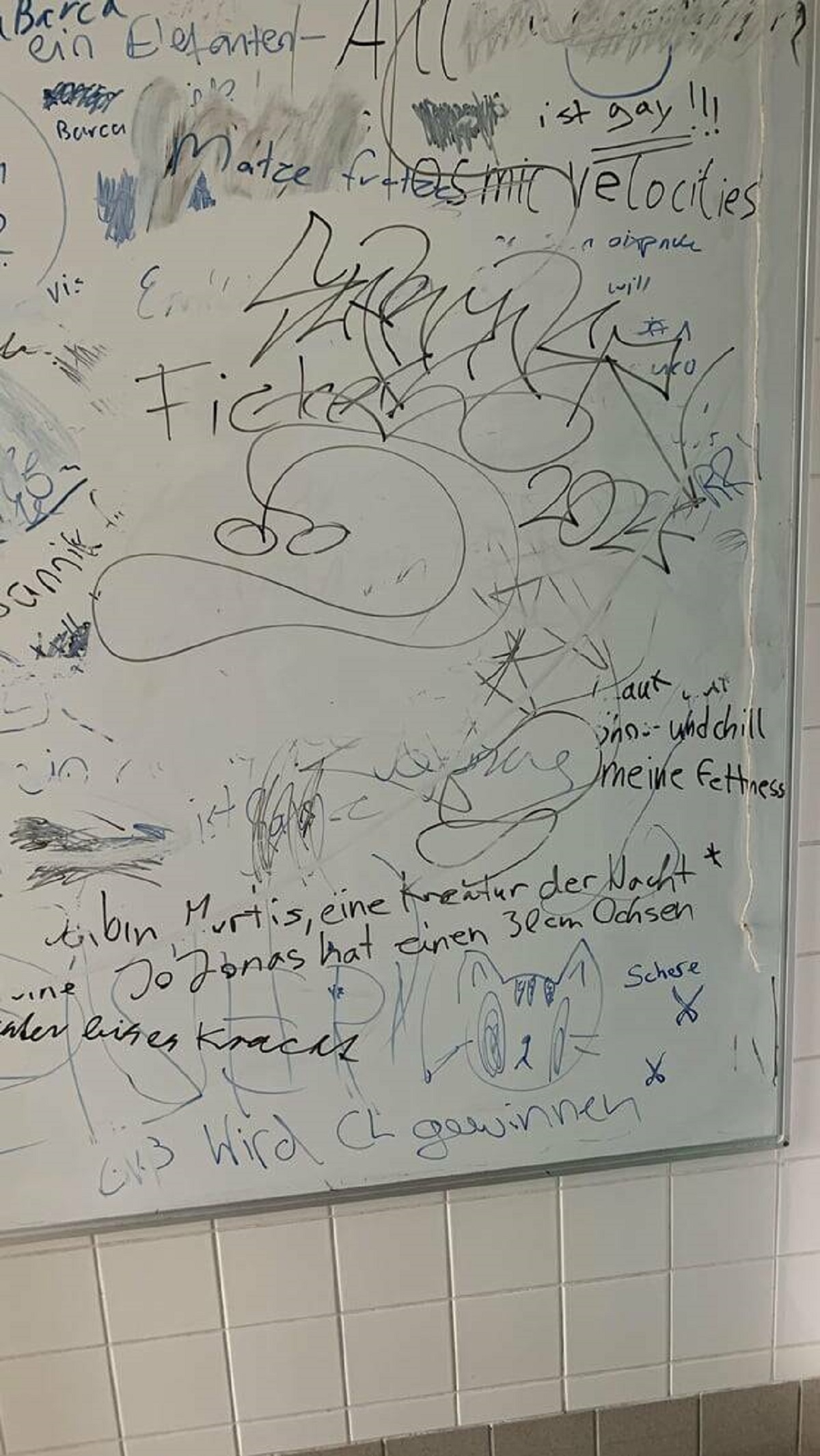"My school put up whiteboards to stop vandalism in the toilet rooms"
