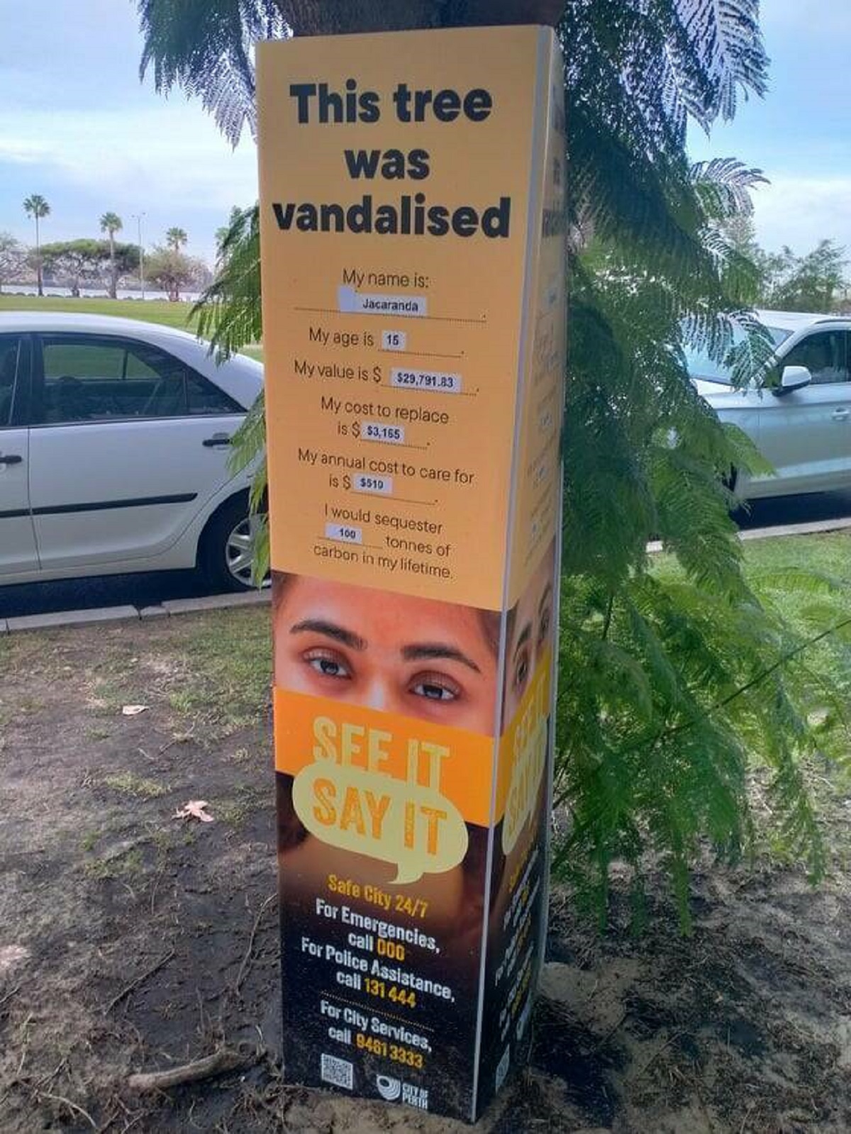 "In Perth, they show how much money tree vandalism costs the community"