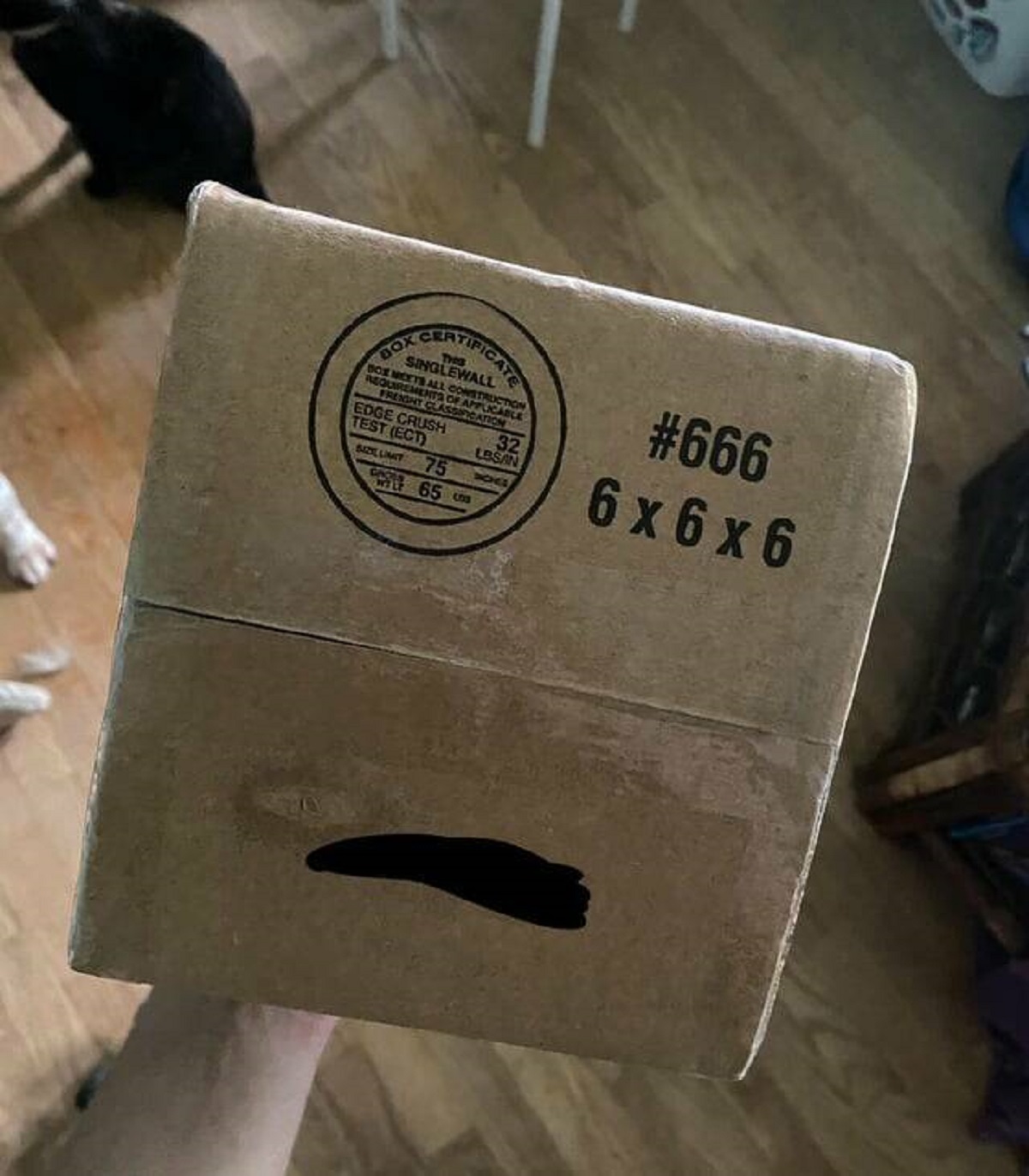 "I got a mysterious package today that’s 6x6x6 inches with the #666"