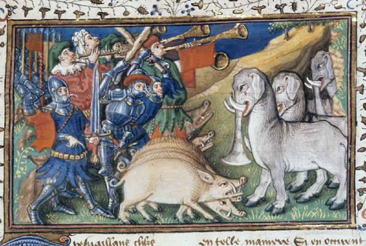 roman war pigs