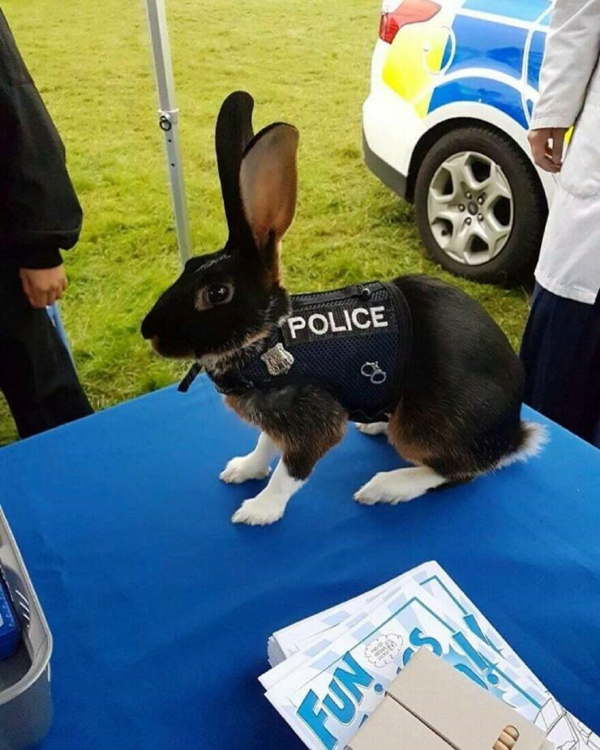 "Sometimes Police Use Rabbits For Their Sense Of Smell To Find Locations Of Decomposition"