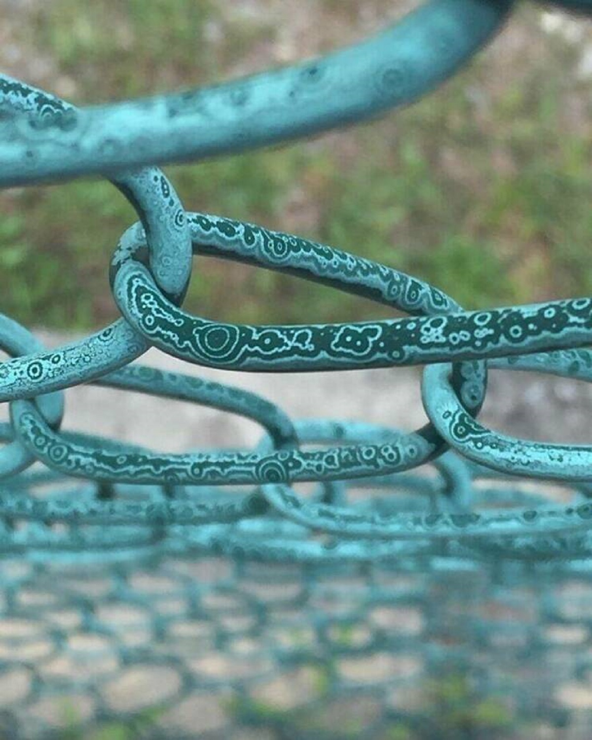 "The Paint On This Chain-Link Fence Faded Into A Pattern Of Circles"