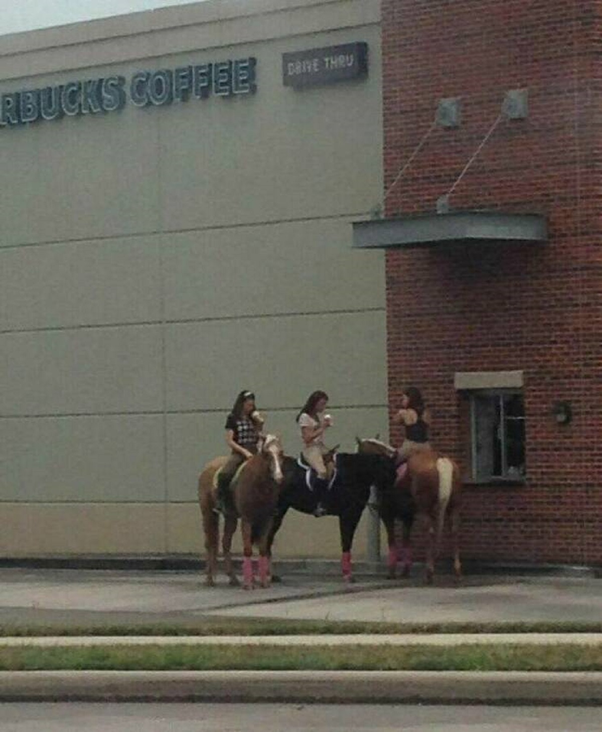 "In Certain Towns That Are Located Near Rodeo Grounds, People Will Ride Horseback Through Drive Thru’s Instead Of Using Cars"