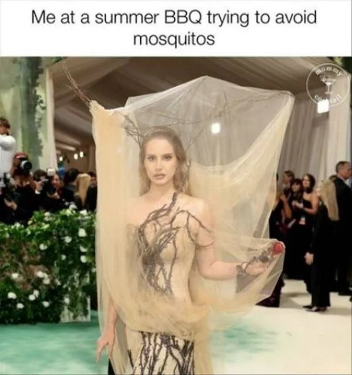 lana del rey met gala 2024 - Me at a summer Bbq trying to avoid mosquitos Do