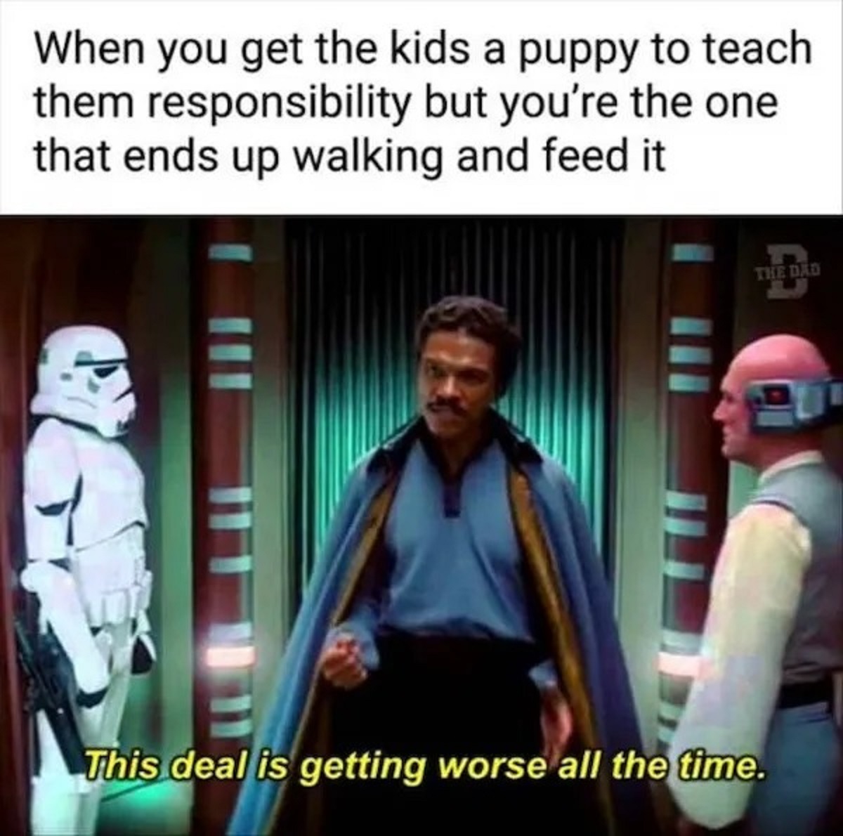 deal keeps getting worse - When you get the kids a puppy to teach them responsibility but you're the one that ends up walking and feed it This deal is getting worse all the time. The Dad