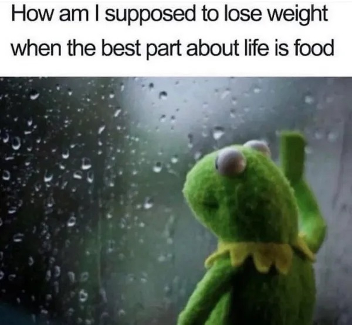 kermit rain meme - How am I supposed to lose weight when the best part about life is food