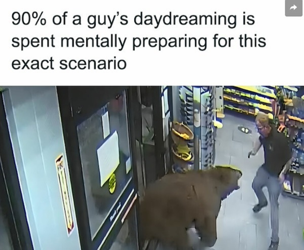 bear in a convenience store - 90% of a guy's daydreaming is spent mentally preparing for this exact scenario