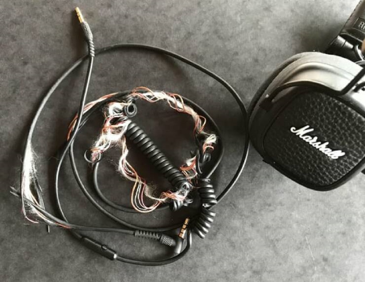 "Marshall Headphone cable ~1 year of use"