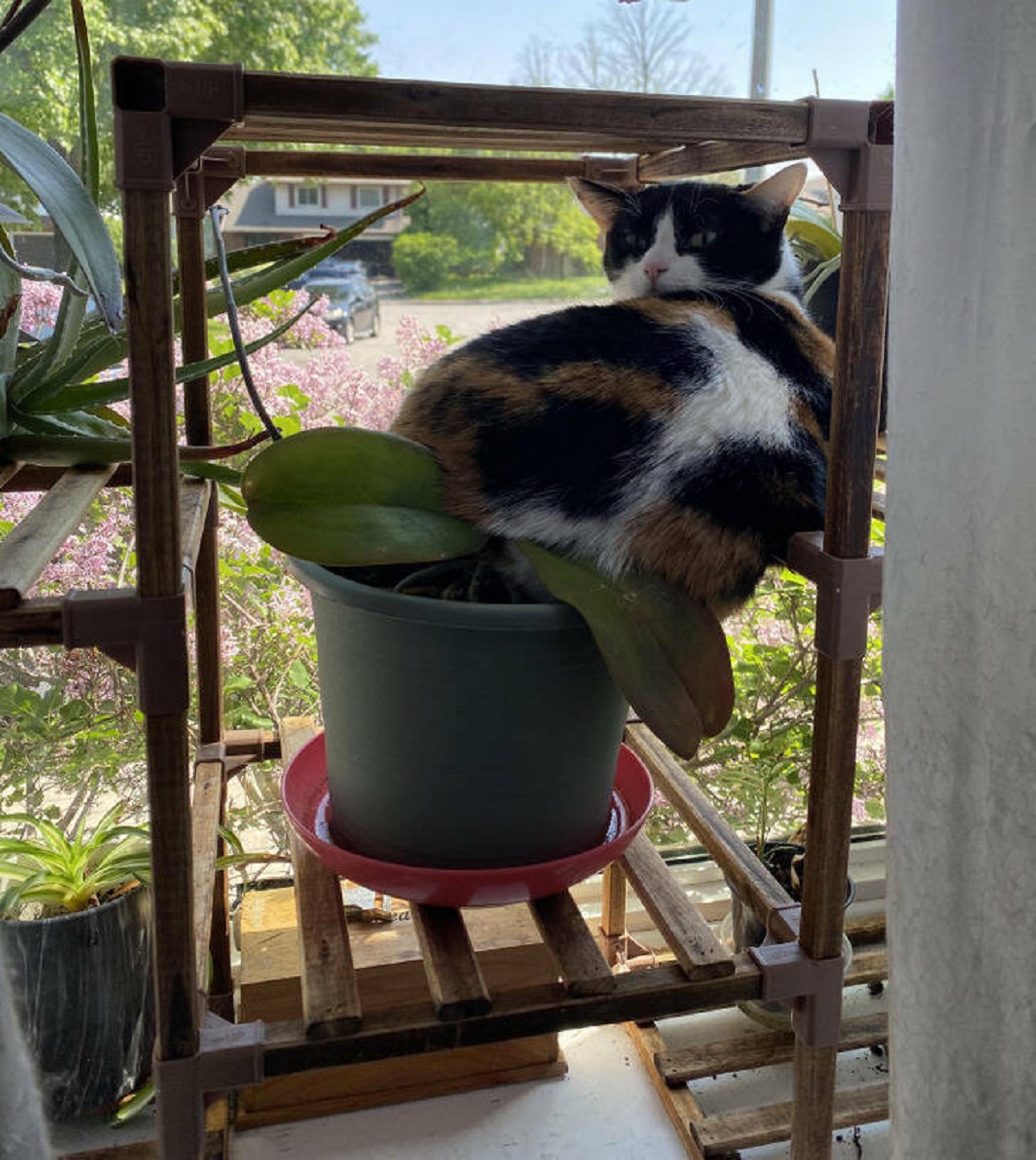 “Wondering why my plants haven’t been doing so well.”