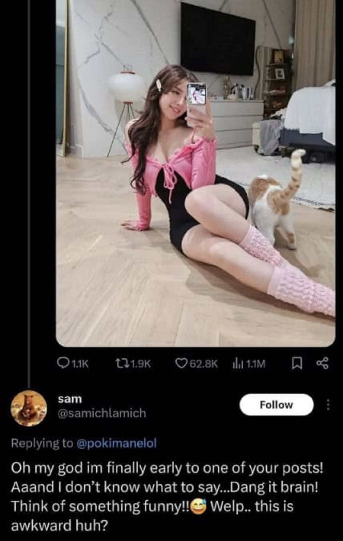 pokimane hot - Q t 1.1M sam Oh my god im finally early to one of your posts! Aaand I don't know what to say...Dang it brain! Think of something funny!!Welp.. this is awkward huh?