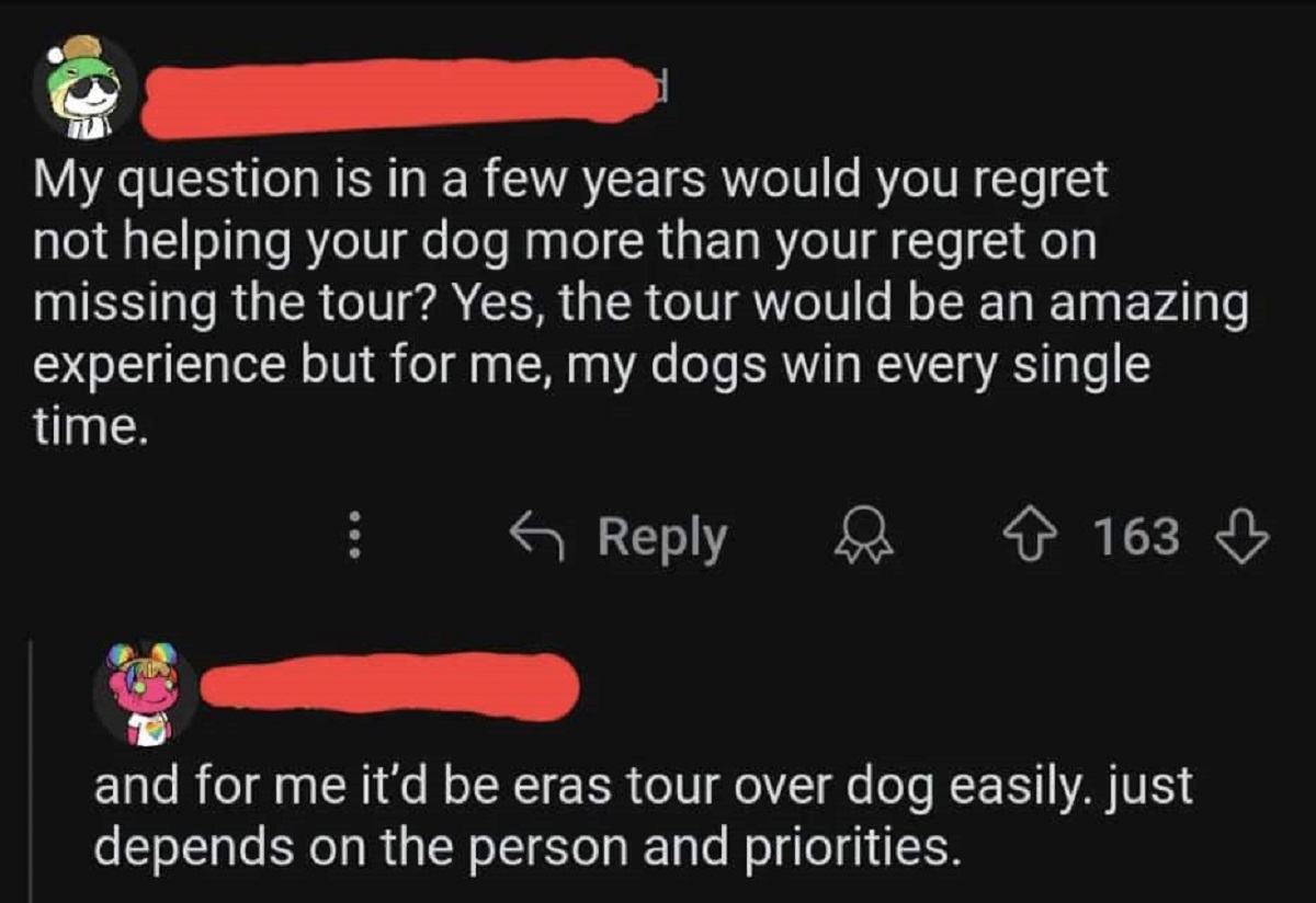 screenshot - My question is in a few years would you regret not helping your dog more than your regret on missing the tour? Yes, the tour would be an amazing experience but for me, my dogs win every single time. Tala 163 and for me it'd be eras tour over 