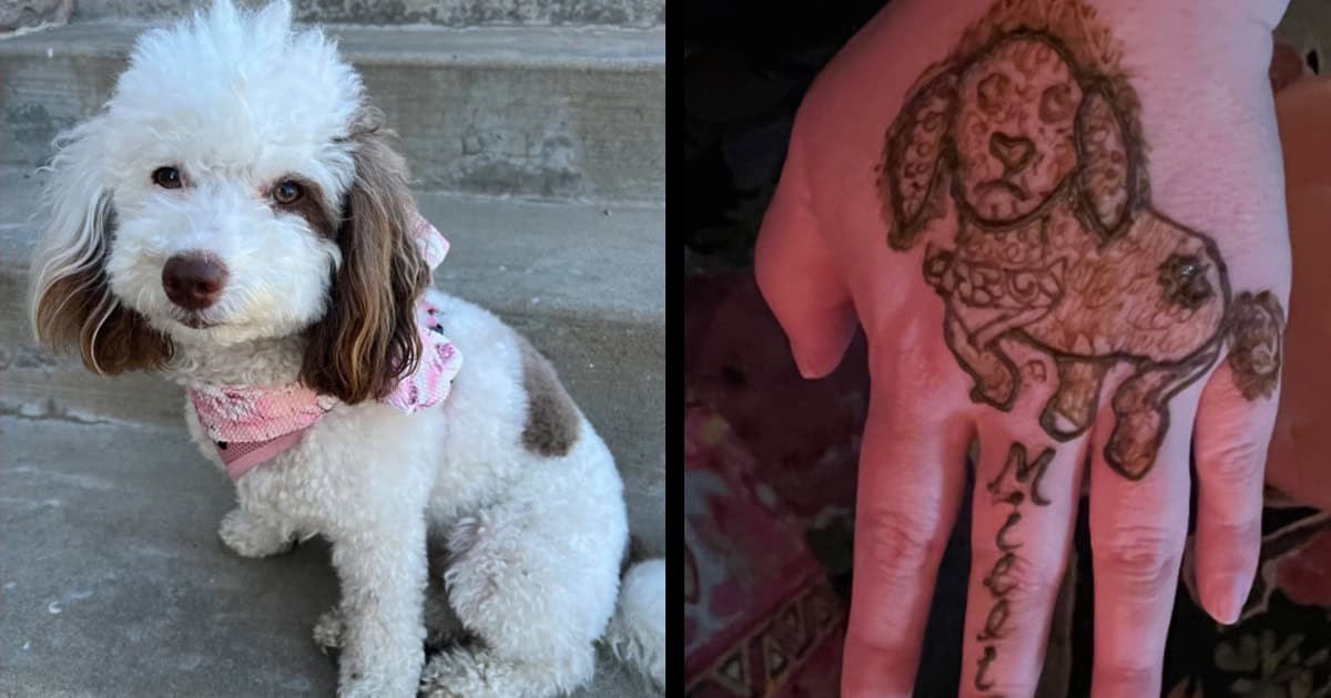 Henna artist said she was great at pet portraits.