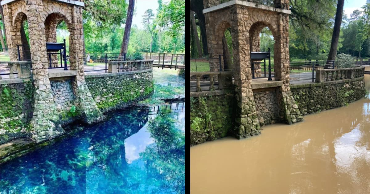 I drove 4 hours (one way) to see Radium Springs, one of the state of Georgia’s Natural Wonders . . . after a heavy rainfall.